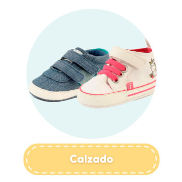 Ficcus calzado