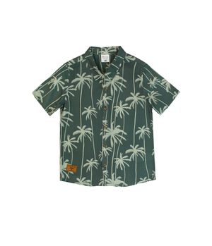 Camisa de Niño Verde